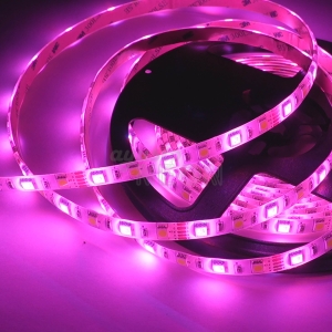 Cinta Led RGB+White 60 led/metro - RGBW